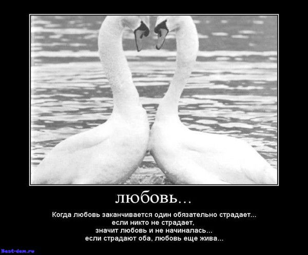 Айгерим Нурпейсова