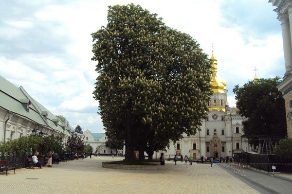 Екатерина Олексюк