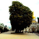 Екатерина Олексюк