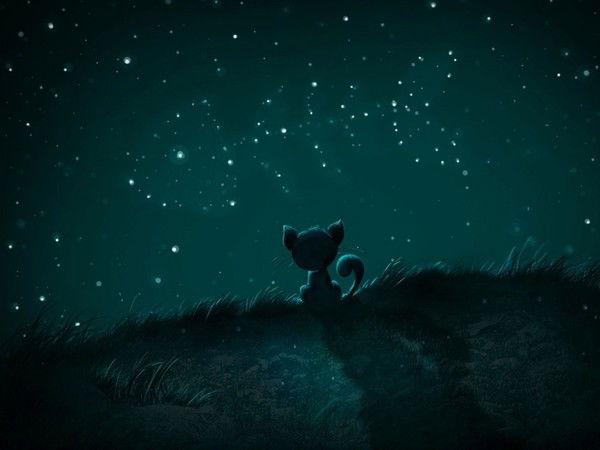 Катерина Ткачева