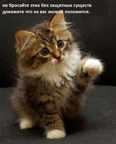 Арина Иванова