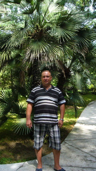 Алексей Драгунов