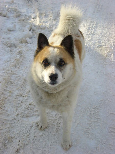 Марина Демичева