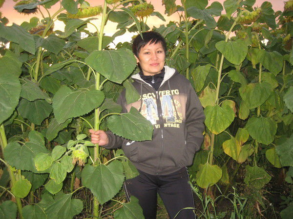 Жамал Айтбаева