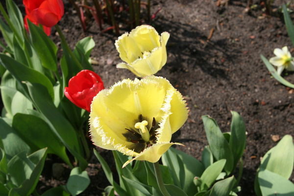 Бахыт Жазибекова