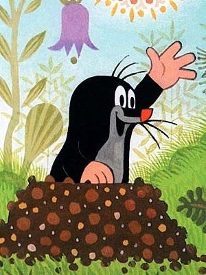 Олеся Сафронова