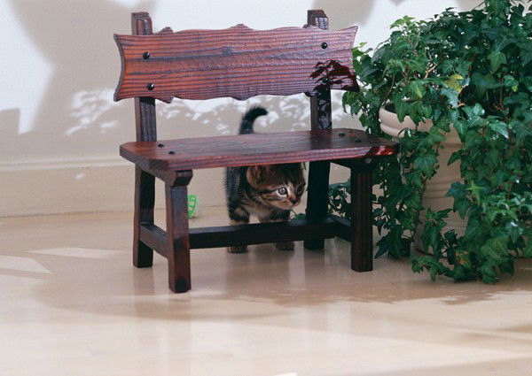 Галина Тулина