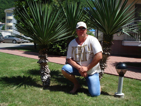 Дмитрий Грудинкин