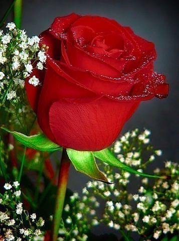 Влюблена Но Не В Тебя