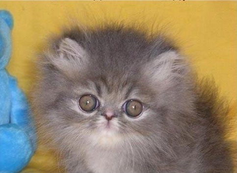 Игорь Титков