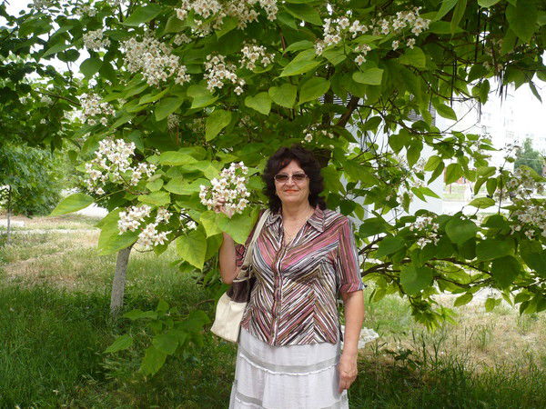 Елена Дедюхина