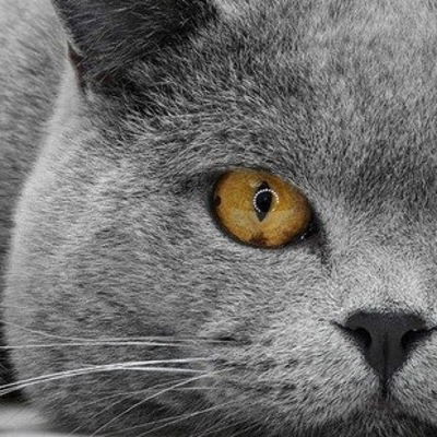 Мария Боднар