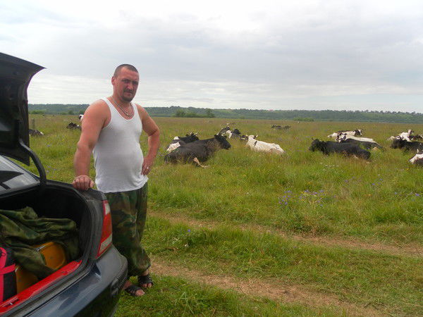 Александр Повод