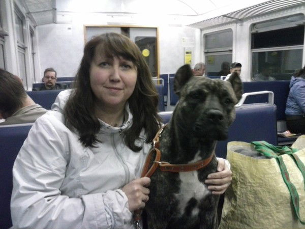 Елена Пашова