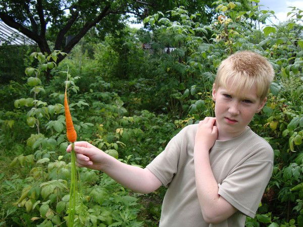 Александр Тим