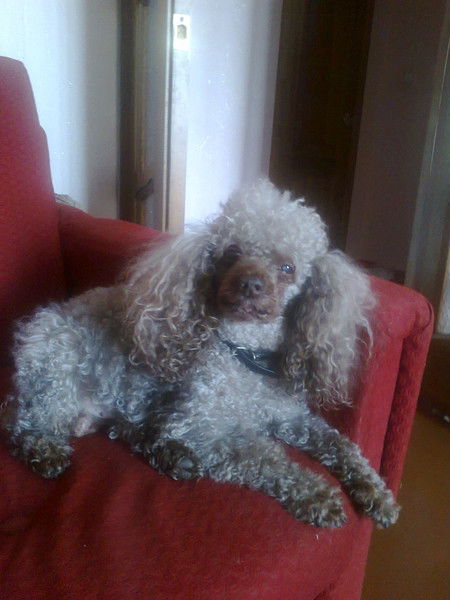 Нелли Трусова