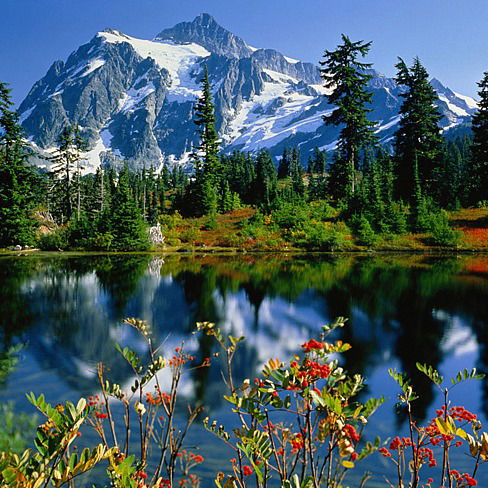 Алиса Королёва