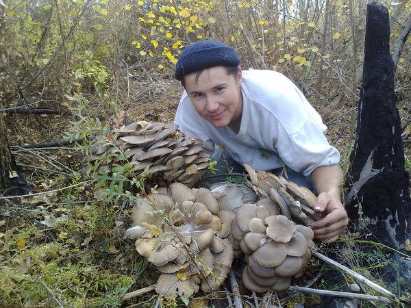 Максим Тарасюк