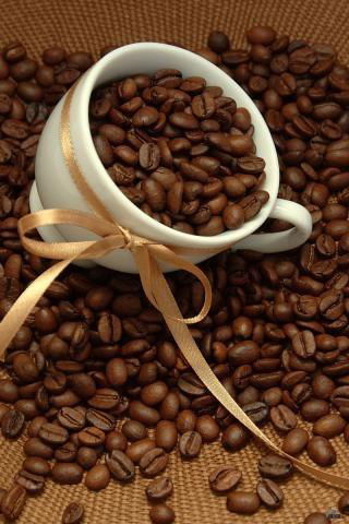 ***олеся *******