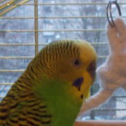 Саша Кирюшкин