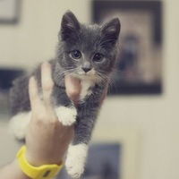 Анастасия Реут