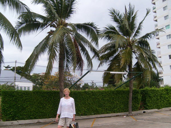 Любовь Суслова Суслова