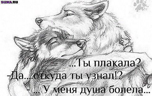 Леонардо.кazazaev Казазаев