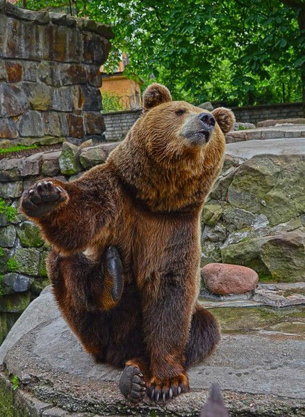 Анатолий Загородский