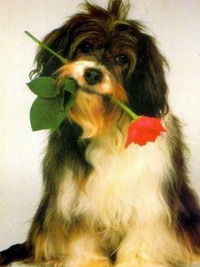 Татьяна Прокофьева