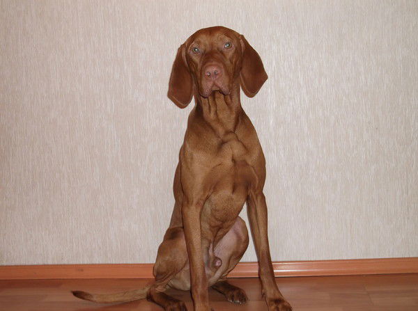 Александр Рассказов