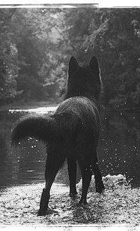 Мария Шабалина