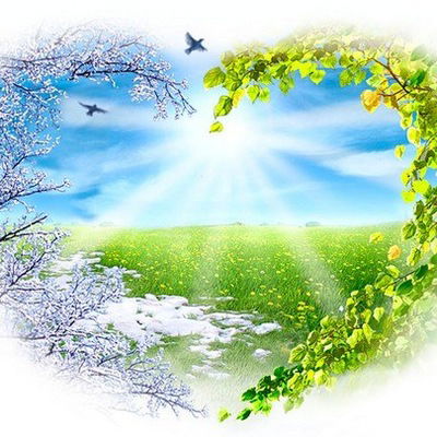 Настя Тесля