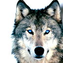 Антон Чумаков