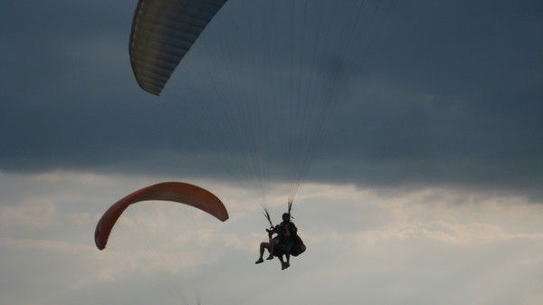 Алексей Луньков