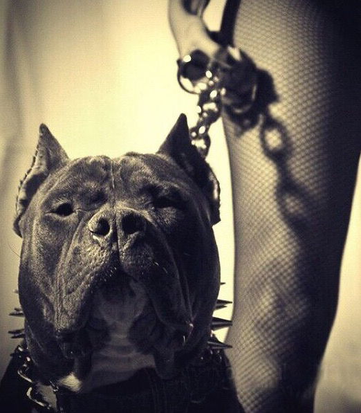 Аня Аронова