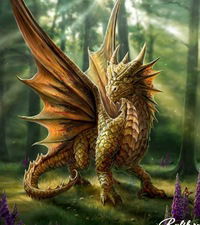 Анжелика Дмитриева