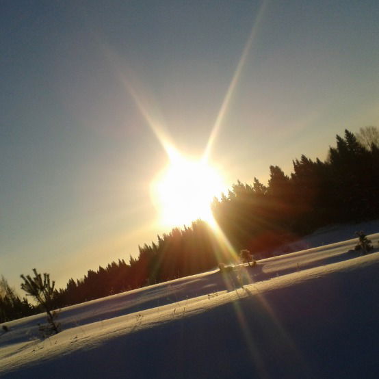 Ольга Вяткина