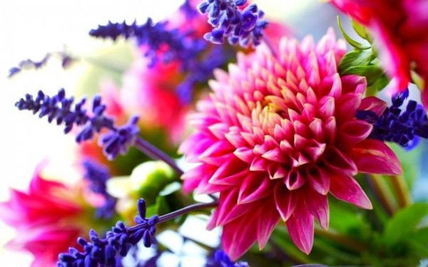 Наталья Фадеева(Пестова)