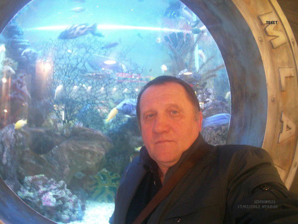 Владислав Токарев