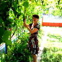 Silvia Verbitki