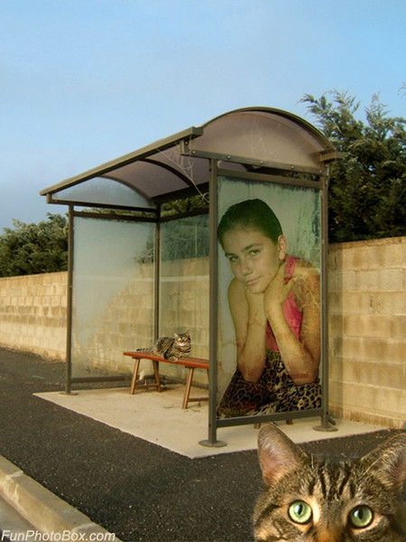 Ирина Гречина