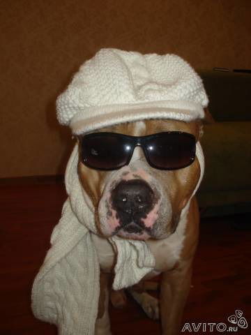 Наталья Ярикова