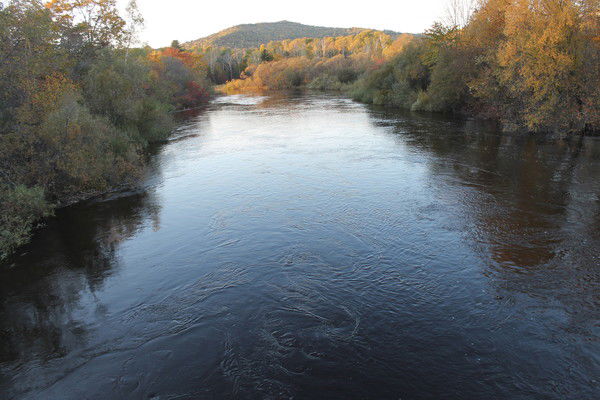 Анатолий Алексеевич