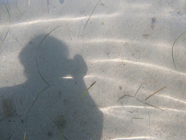 Анна Григорьева