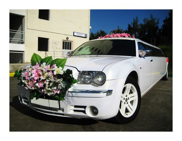 "бал Лимузинов" "бал Лимузинов"