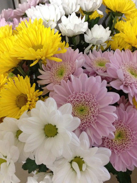 Ольга Селиванова