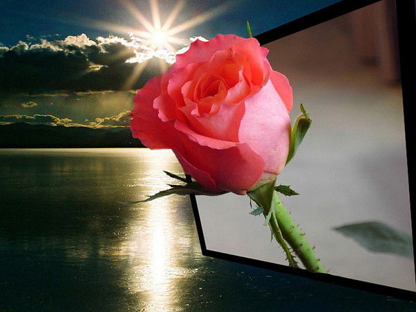 Гульнара Сабирова