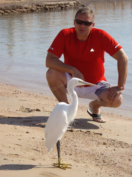 Сергей Семин