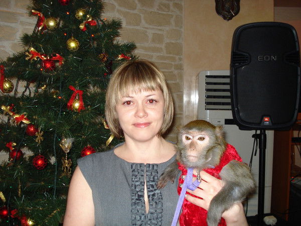 Светлана Тимофеева