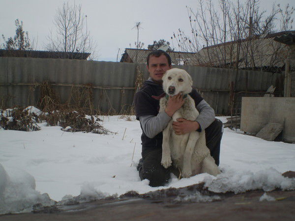 Андрей Чечулин